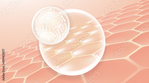 Probiotic and Hyaluronic acid skin solutions ad, white collagen, and vitamin serum drop with cosmetic advertising background ready to use illustration vector.	