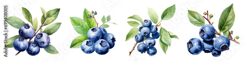 Watercolor Blueberry png collection photo