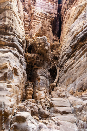 Large  bird nests in rock crevices at end of the Mujib River Canyon tourist route in Wadi al-Mujib in Jordan