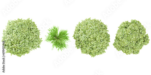 set of Bombax Catalpa bignonioides,Betula nana plants rendered from the top view, 3D illustration, for digital composition, illustration, 2D plans, architecture visualization