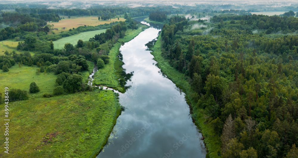 Fototapeta premium Aerial view on the river in wild in cloudy morning