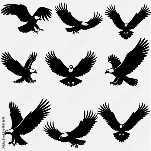 set of eagle silhouettes , set of birds silhouette . 