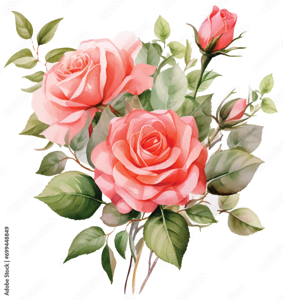 invitation petal rose watercolor wedding romantic border greeting elegant composition drawing bo