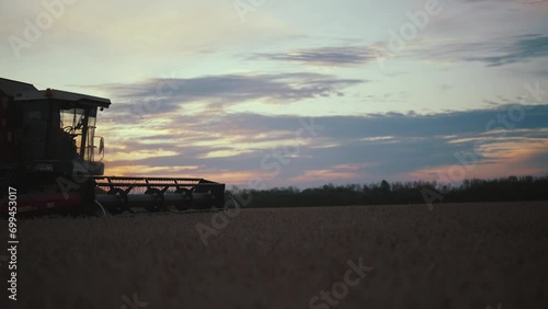 Silhouette of working combine mower cuts collects ripe wheat at sunset. Agricultural harvesting works. Harvester moves on field mows crop. Harvesting, farming, food production agribusiness concept. photo