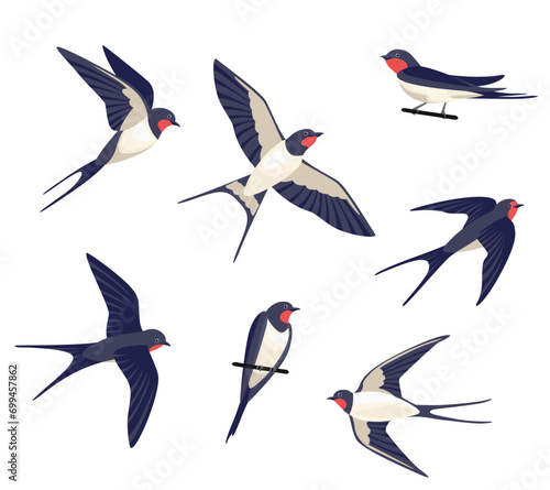 Set of different swallows isolated on a white background. Vector flock of birds. Cartoon simple flat illustration.