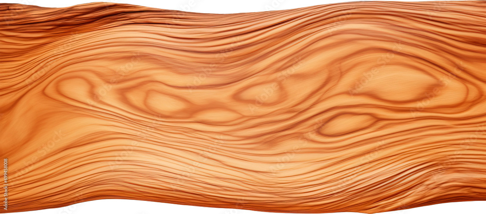 Tree Bark Texture isolated on transparent background Tree Bark Texture isolated on transparent background