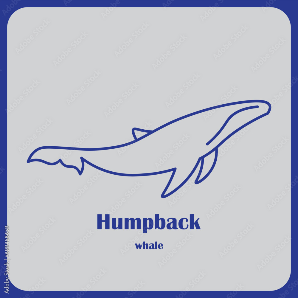 Obraz premium Humpback whale logo vector design