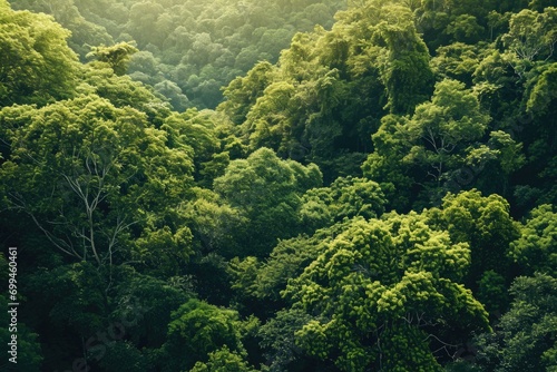 A stunning aerial view of a lush green forest. Perfect for nature enthusiasts and environmental themes