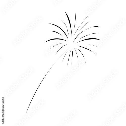 Sylvester Feuerwerk 
