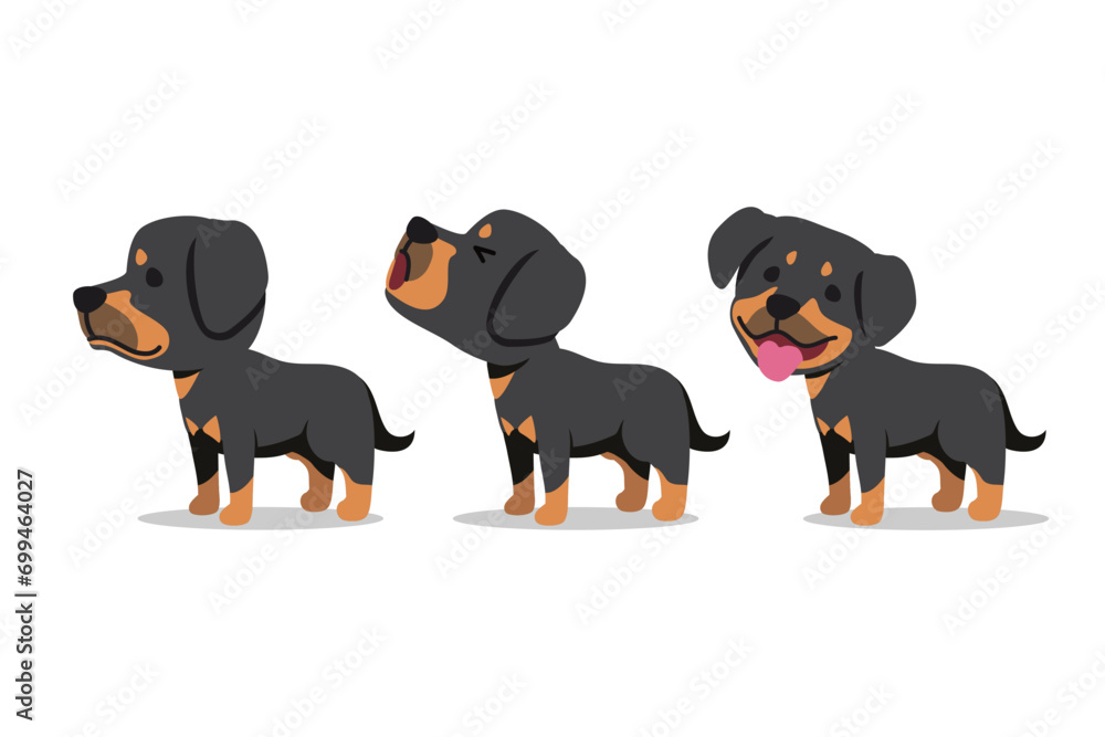 Set of vector cartoon character rottweiler dog for design.