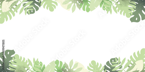 tropical leaves background. monstera, palm, leaf free white space for text. top and bottom border.