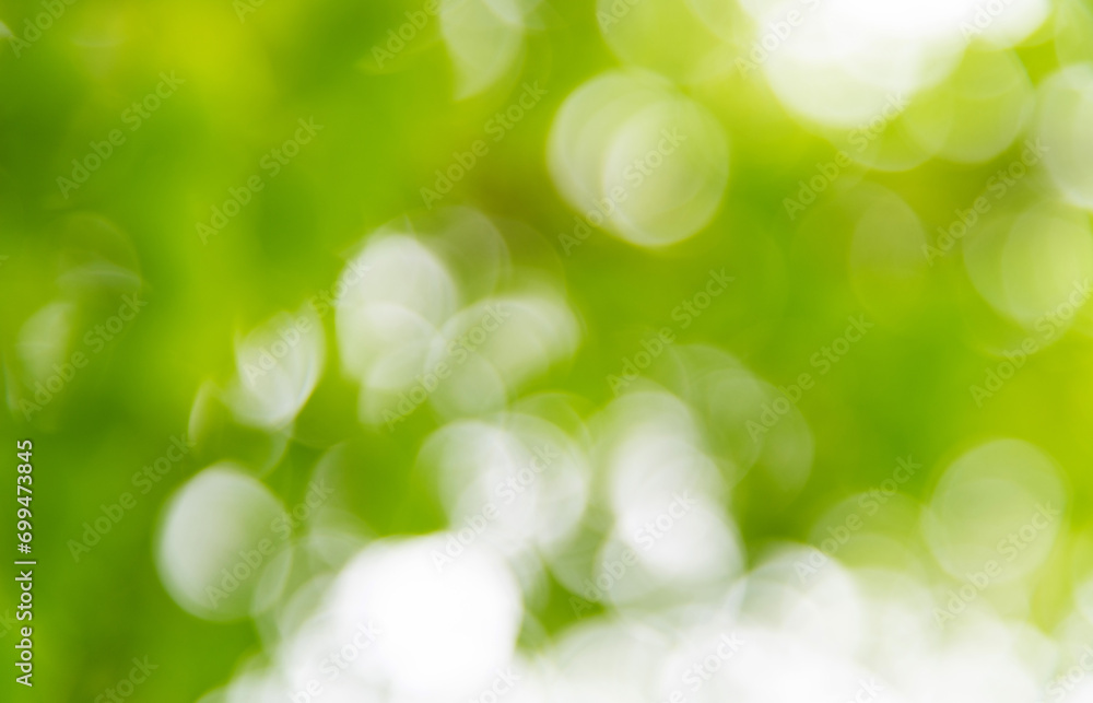 Fototapeta premium Background of blurred green leaves