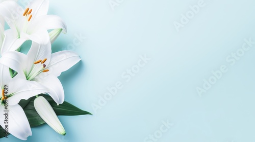 White lily flower on matching background with copy space - beauty spa wellness natural cosmetics concept