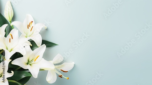 White lily flower on matching background with copy space - beauty spa wellness natural cosmetics concept photo