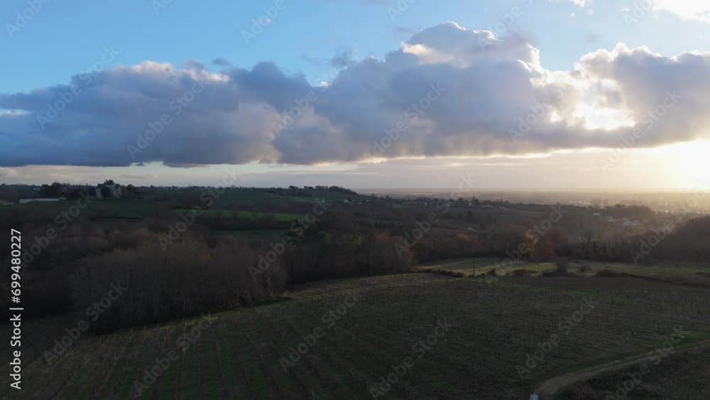 Aerial view Bordeaux Vineyard in winter, Entre deux mers, Langoiran. High quality 4k footage Aerial view Bordeaux Vineyard in winter, Entre deux mers, Langoiran. High quality 4k footage