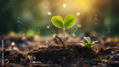 Green plant growing in soil with green nature background. Renewable eco energy concept.