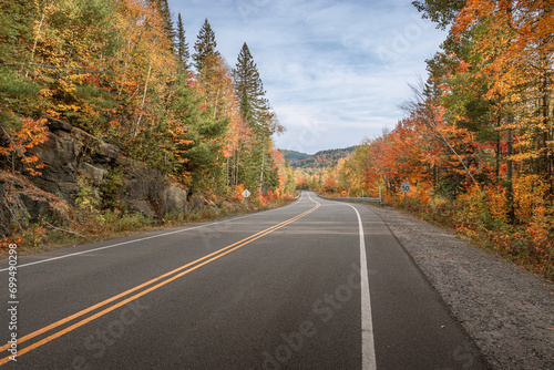 Road in autumn forest photo