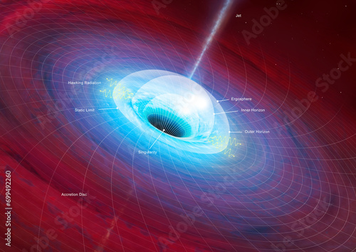 Black Hole Anatomy