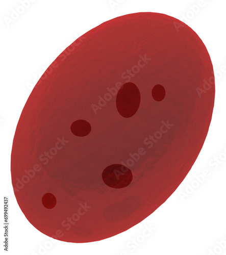 Reticulocyte red blood cell, illustration photo