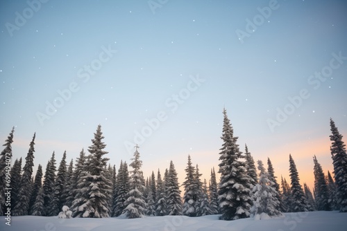 Wallpaper Mural snow-covered pine trees under a star-filled sky Torontodigital.ca