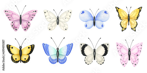 Set of hand-drawn watercolor butterflies. Summer and spring insect illustrations isolated illustrations on white background © Катерина Тышковская
