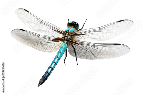 Top side closeup macro view of beautiful dragonfly isolated on white background PNG photo