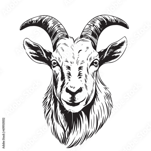 Farm goat face hand drawn sketch Vector illustration animals