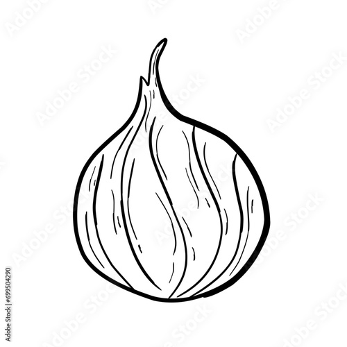 onion and garlic