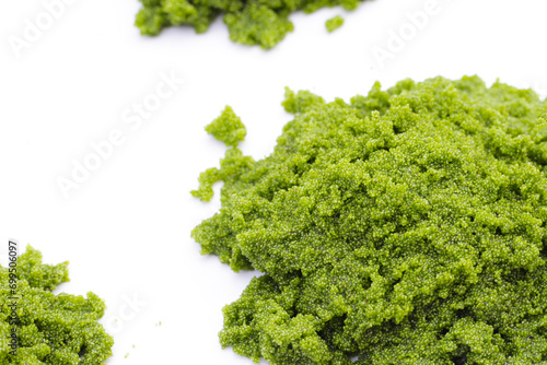 Wolffia globosa or swamp algae  water meal