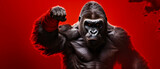 Gorilla ready to fight. Studio shot over red background.