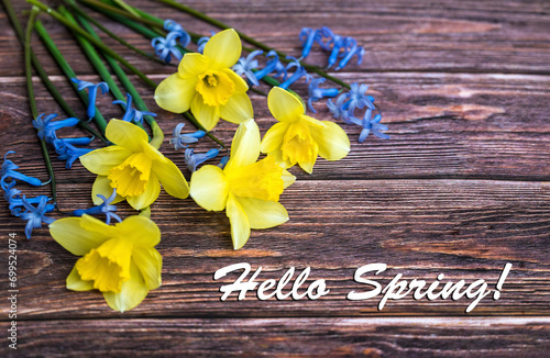 Hello spring card with yellow narcissus flowers. Spring greeting card 