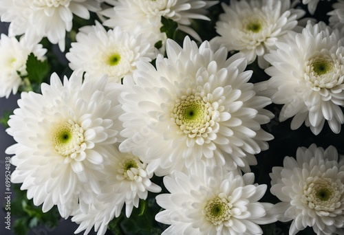 Condolence card with giant white Chrysanthemums or Mum flowers. Floral background with copy space photo