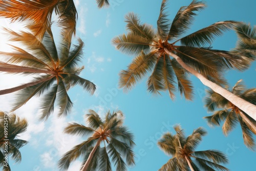 Picturesque Tropical palm trees view. Travel sunny. Generate Ai