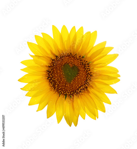 Sunflower with heart in center