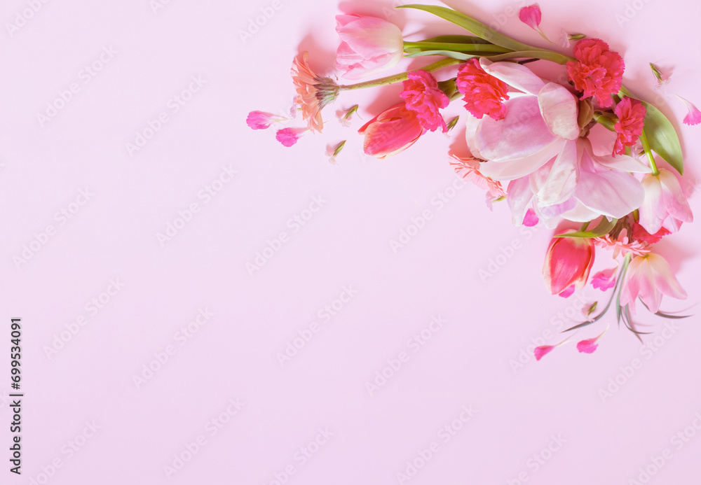 Fototapeta premium beautiful spring flowers on pink background