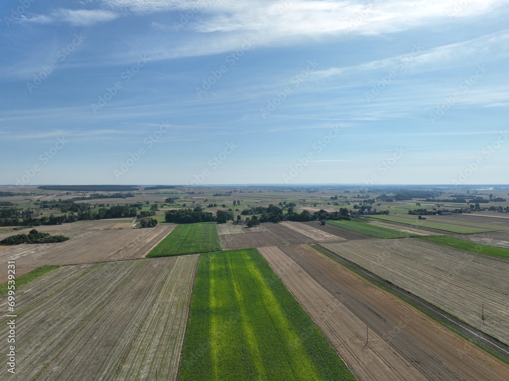 Fototapeta premium Obszary rolnicze, gdzie jest świeże powietrze świeżą żywność od małych lokalnych gospodarstw, ekologiczna polska wieś. Błękitne niebo