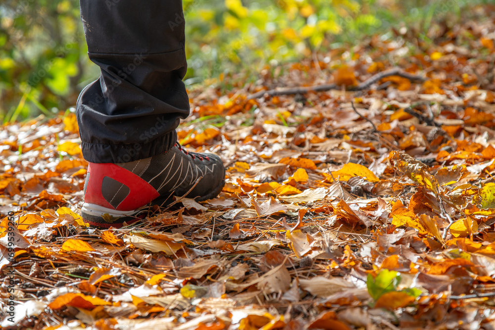 Hiking boot. Legs on mountain trail during trekking in forest