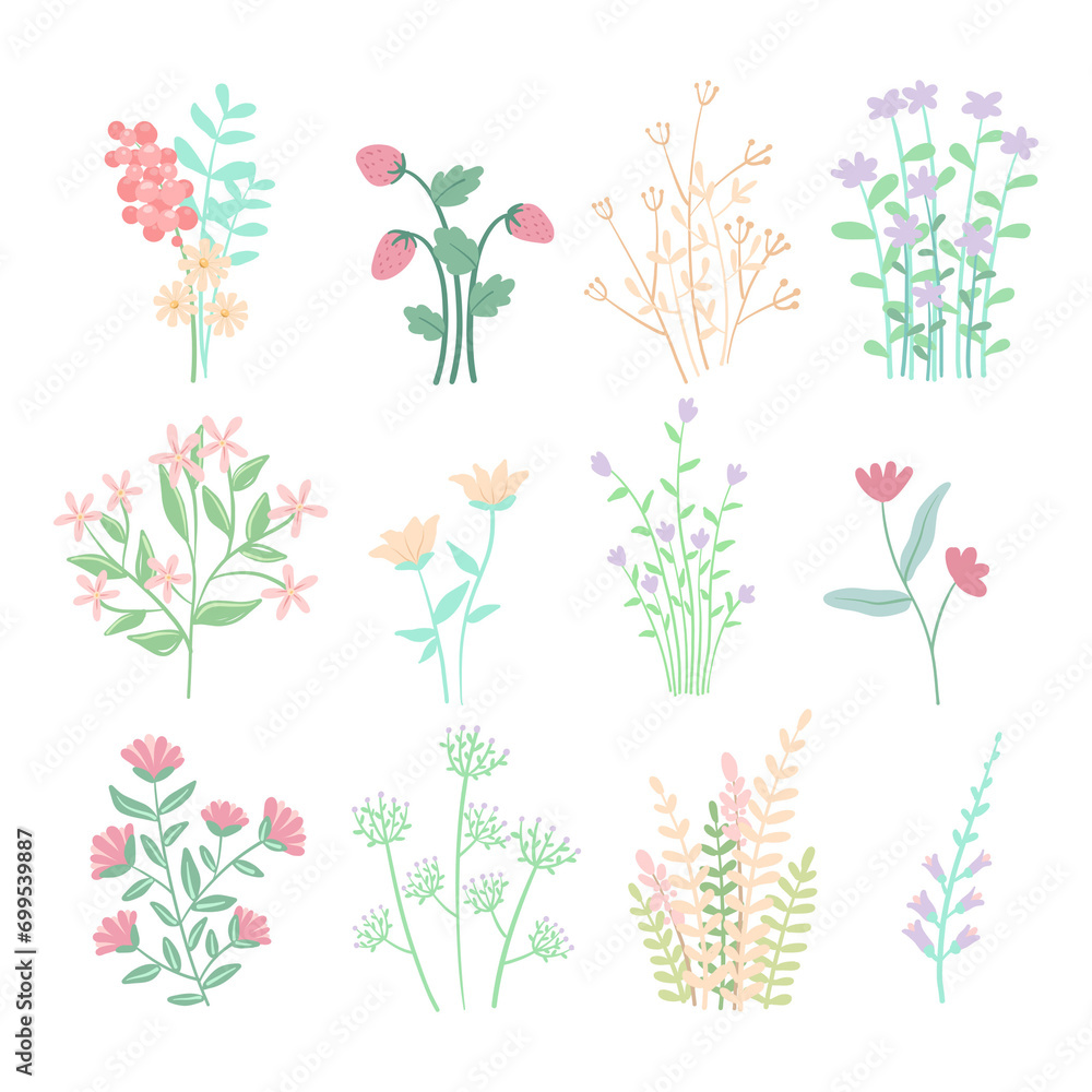 set of hand drawn flowers set of hand drawn flowers