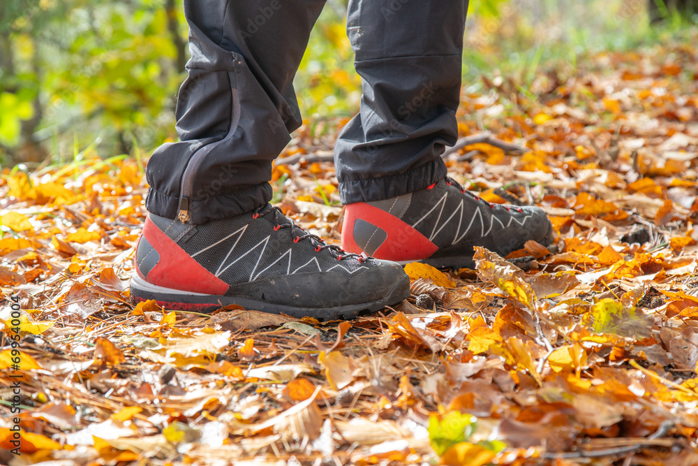 Hiking boot. Legs on mountain trail during trekking in forest