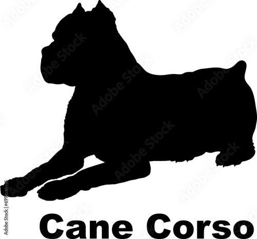 Dog Cane Corso. silhouette Breeds Bundle Dogs on the move. Dogs in different poses.
The dog jumps, the dog runs. The dog is sitting. The dog is lying down. The dog is playing
