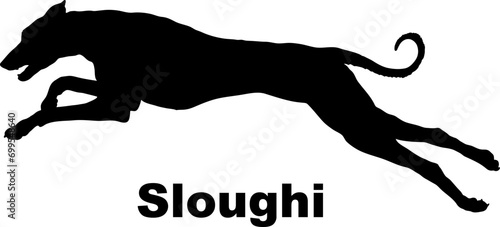 Dog Sloughi silhouette Breeds Bundle Dogs on the move. Dogs in different poses.
The dog jumps, the dog runs. The dog is sitting. The dog is lying down. The dog is playing
 photo