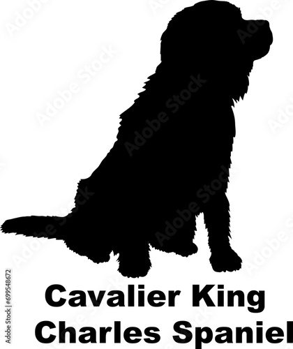 Dog Cavalier King Charles Spaniel silhouette Breeds Bundle Dogs on the move. Dogs in different poses.
The dog jumps, the dog runs. The dog is sitting. The dog is lying down. The dog is playing
