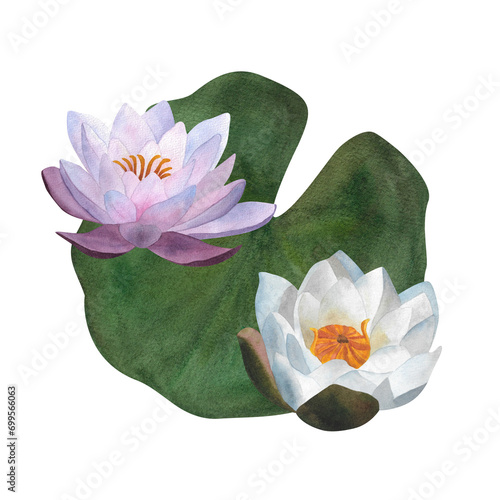 Cuadro en lienzo Watercolor white and purple waterlily on green leaf Lotus flowers for floral dec