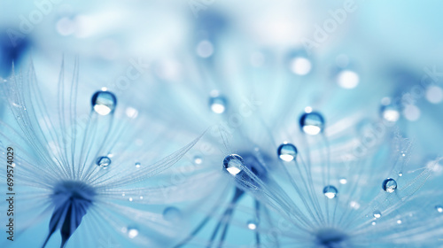 Captivating Macro Photography  Beautiful Dew Drops on Dandelion Seeds in Morning Sunlight  a Delicate Celebration of Nature s Purity and Fragility.