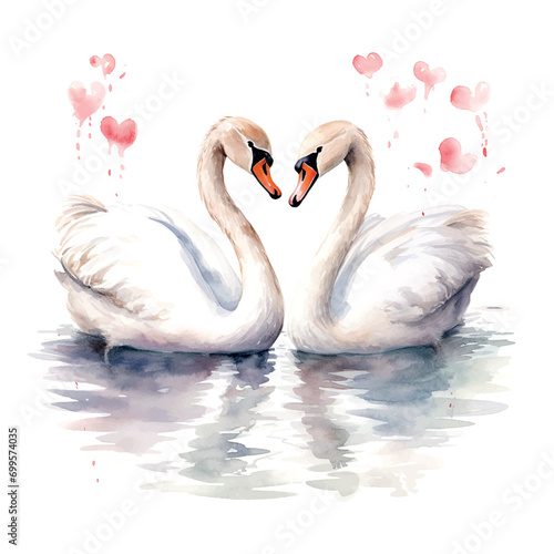 Valentine's Day Wedding White Swans watercolor vector