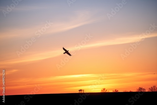 silhouette of red kite at sunset above farmland