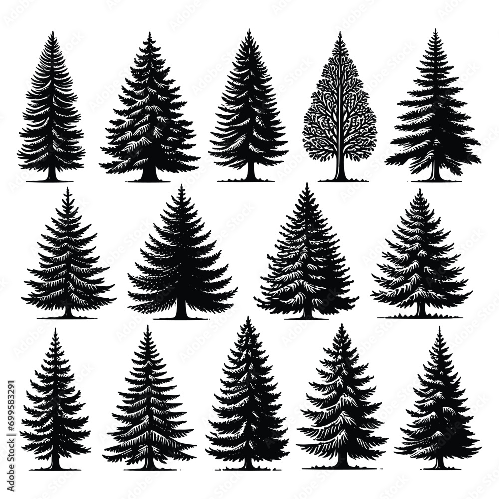 Obraz premium Set of tree silhouettes isolated on a white background, Vector illustration.