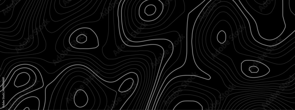 Black and white abstract topography vector background. Topography map pattern, Geographic curved relief. Abstract geographic wave grid line map. - obrazy, fototapety, plakaty 