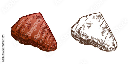 Organic food. Hand drawn colored and monochrome vector sketch of grilled beef steak, piece of meat. Vintage illustration. Decorations for the menu. Engraved image.