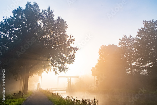 This image presents a dreamlike vista where a paved trail winds beside a river  both enveloped in a radiant morning fog. The trees  full and lush  stand tall on the left  their outlines softened by